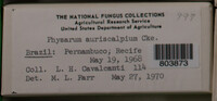 Image Associated With the Occurence